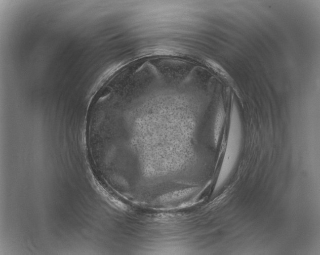 X0000062790938200601051042