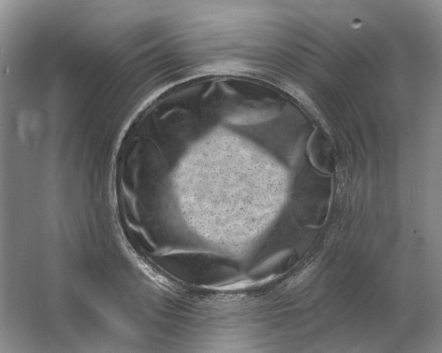 X0000062790939200601051042