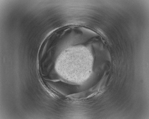 X0000062790940200601051042