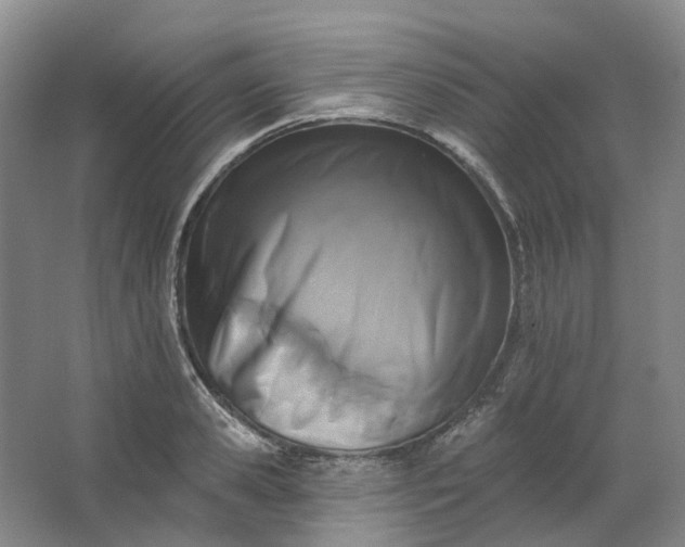 X0000062790941200601051042