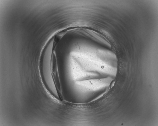 X0000062790942200601051042