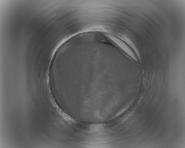 X0000062790944200601051042