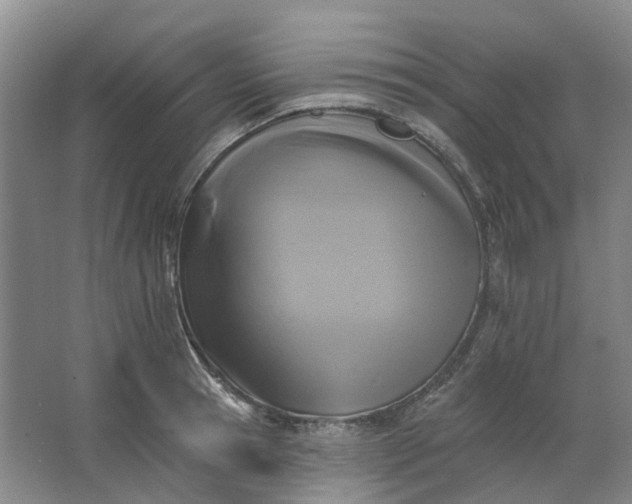 X0000062790945200601051042