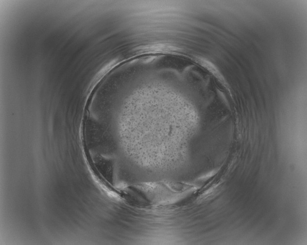 X0000062790946200601051042