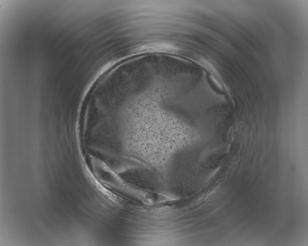 X0000062790947200601051042