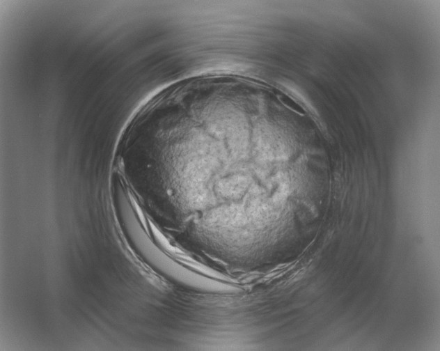 X0000062790948200601051042