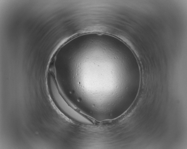 X0000062790949200601051042