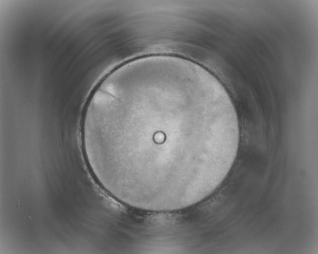 X0000062790950200601051042