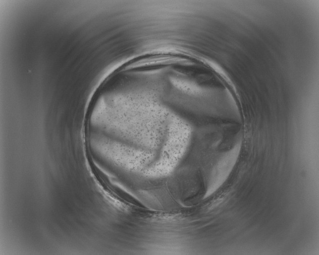 X0000062790951200601051042