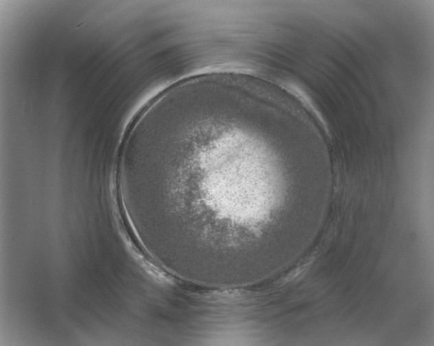 X0000062790952200601051042