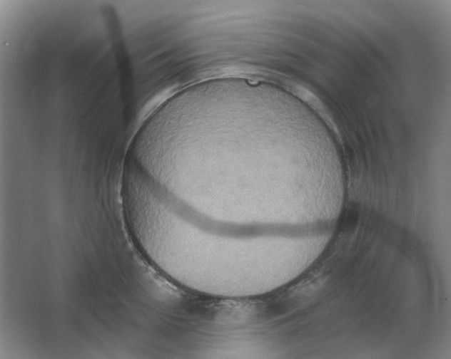 X0000062790954200601051042