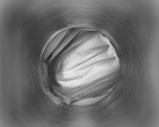 X0000062790956200601051042