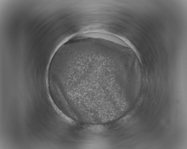 X0000062790957200601051042