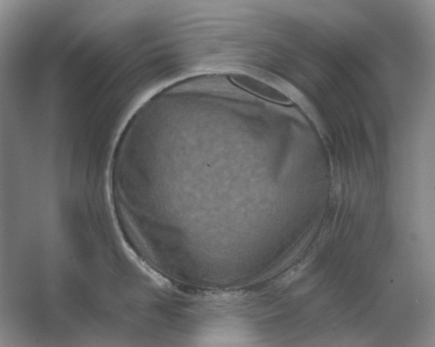 X0000062790958200601051042