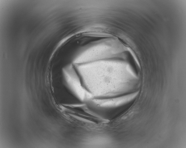 X0000062790960200601051042