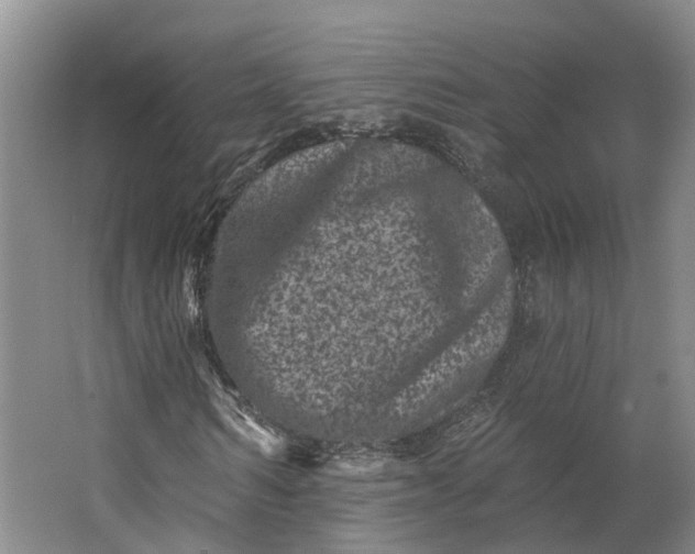 X0000062790962200601051041