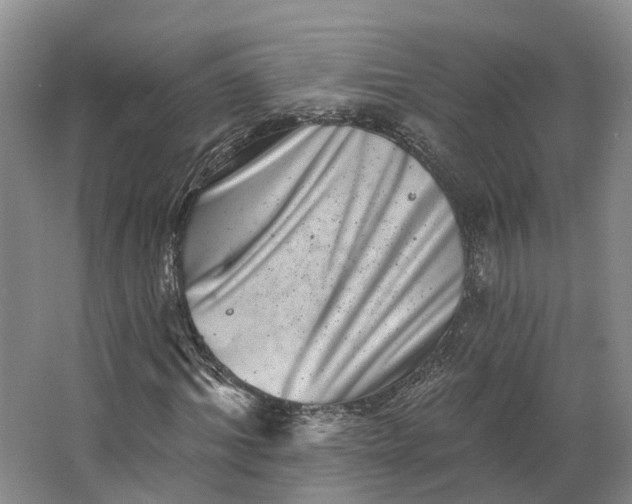 X0000062790964200601051041