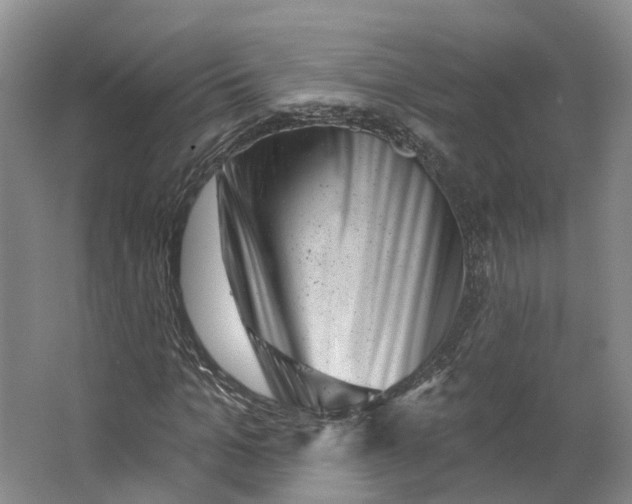 X0000062790965200601051041