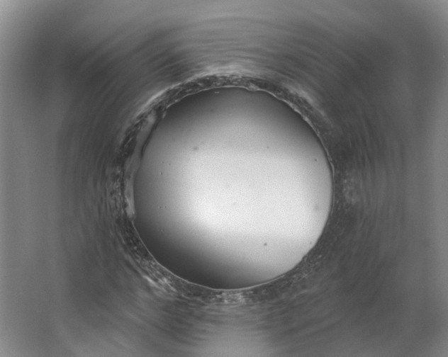 X0000062790968200601051041