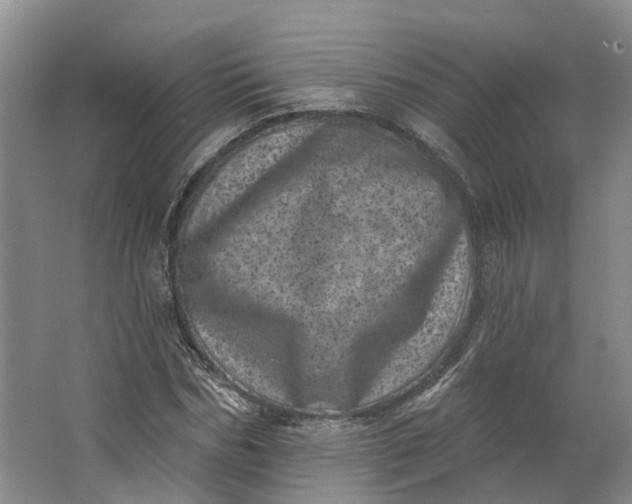 X0000062790970200601051041