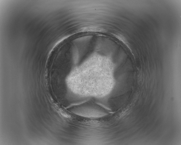 X0000062790971200601051041