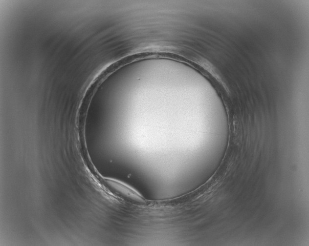 X0000062790972200601051041