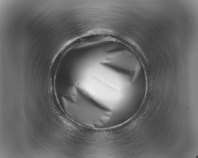 X0000062790973200601051041