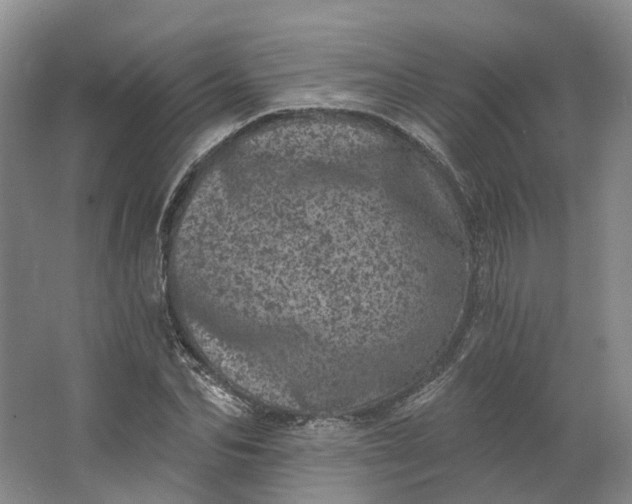 X0000062790974200601051041