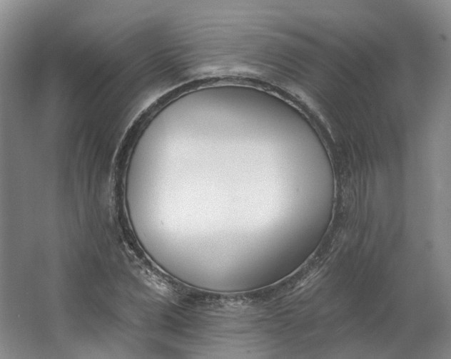 X0000062790975200601051041