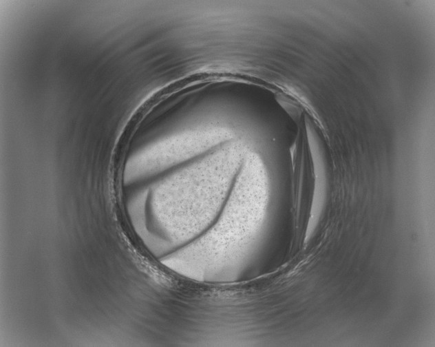 X0000062790976200601051041