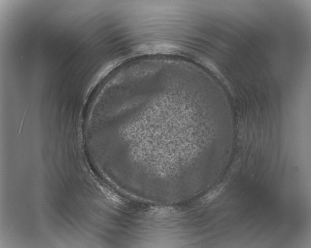 X0000062790978200601051041