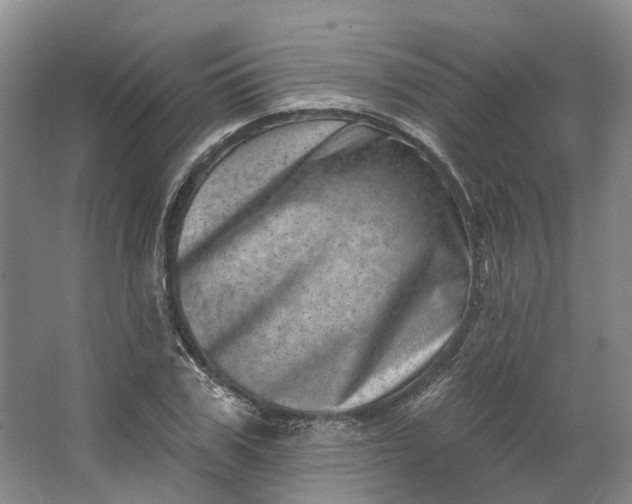 X0000062790979200601051041