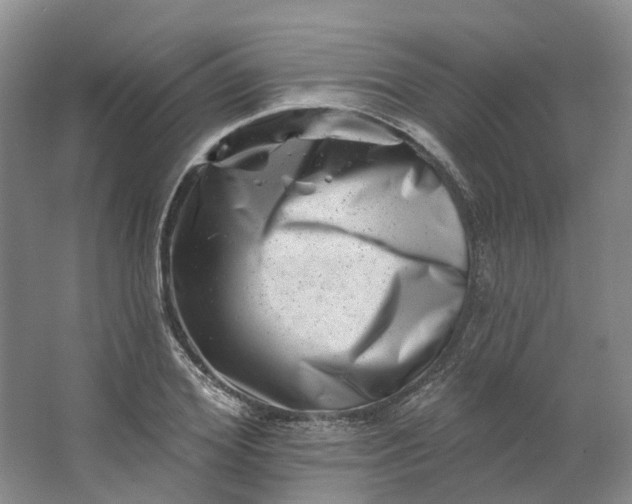 X0000062790980200601051041