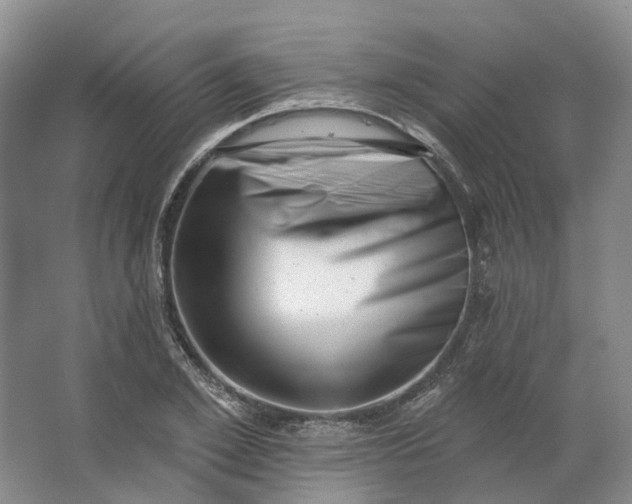 X0000062790981200601051041