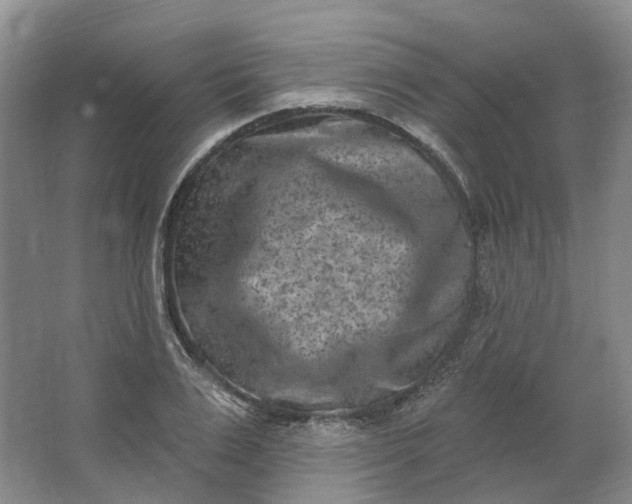 X0000062790983200601051041