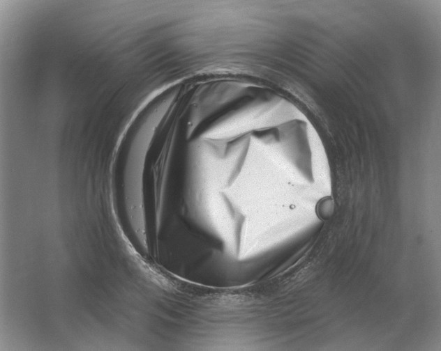 X0000062790984200601051041