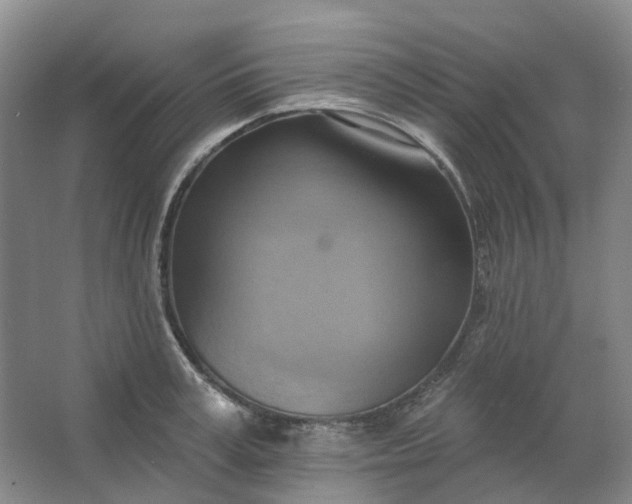 X0000062790995200601051041