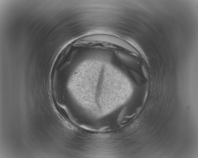 X0000062790996200601051041