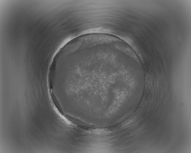 X0000062790998200601051041