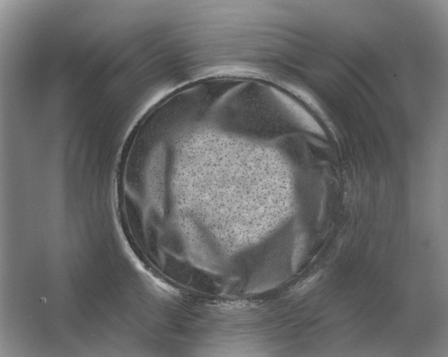 X0000062790999200601051041