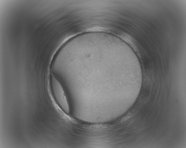 X0000062791000200601051041