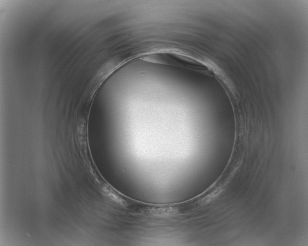 X0000062791001200601051041