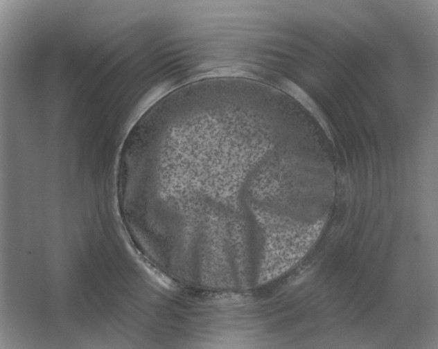 X0000062791002200601051041