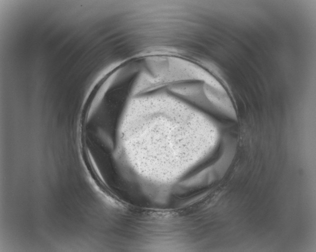 X0000062791003200601051041