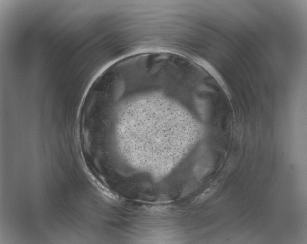 X0000062791004200601051041