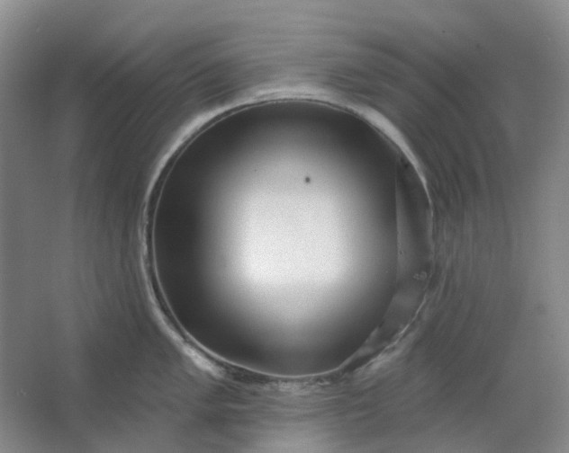 X0000062791005200601051041