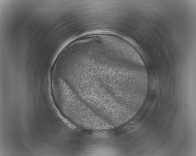 X0000062791006200601051041