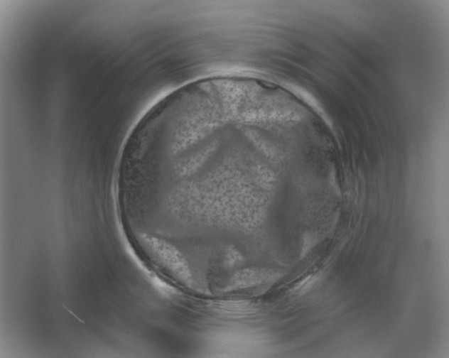 X0000062791007200601051041