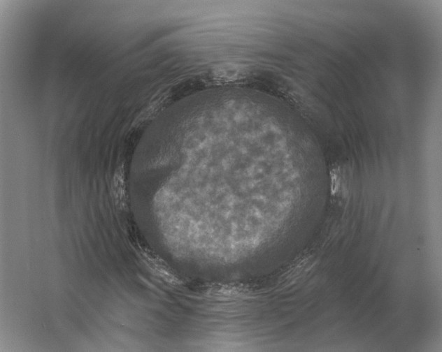 X0000062791011200601051040