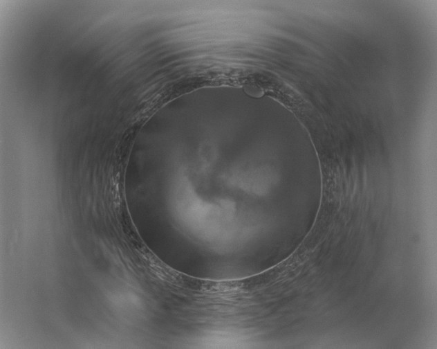 X0000062791013200601051040